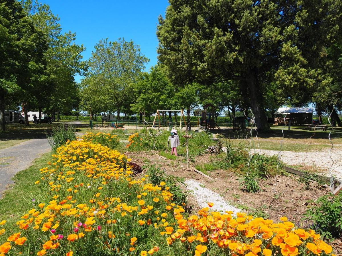 Camping Le Sorlut Cozes Exterior photo